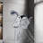 2.5GPM Shower Heads With Handheld Spray Combo-120160354