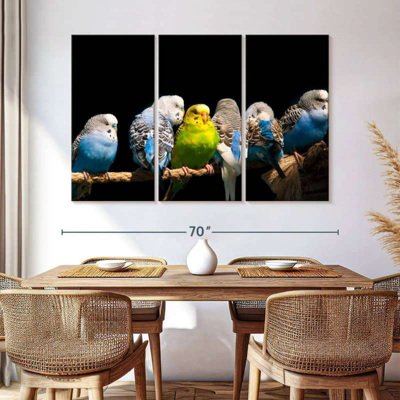 Budgerigars sur une corde, H 42 po x l 65 po