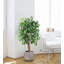 Arrangement