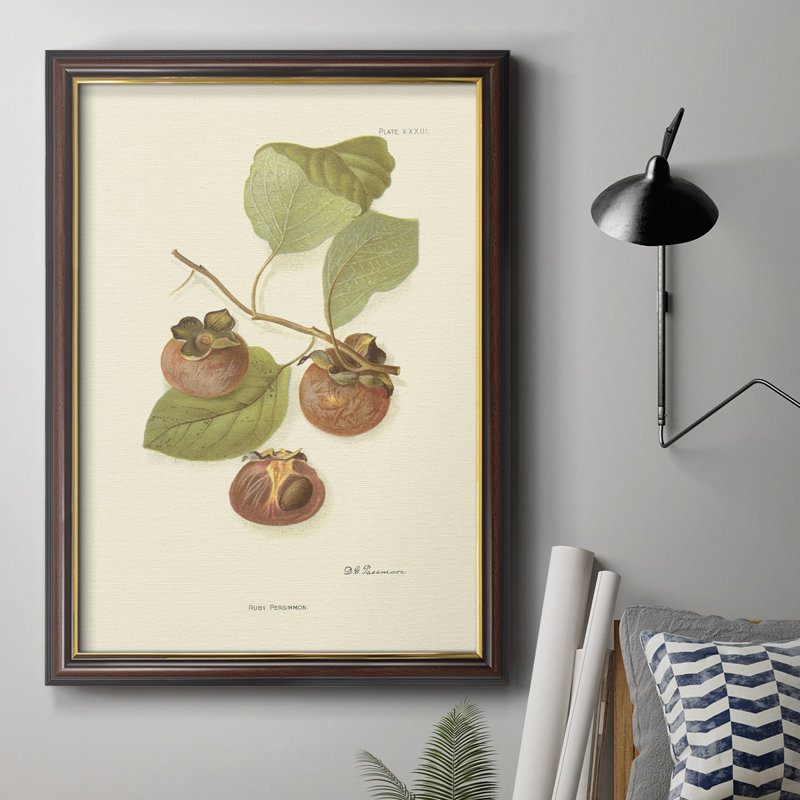 Persimmon II - cadre photo, impression sur toile, H 20 po x l 16 po x P 2,5 po