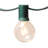Electric String Lights with 25 Globe Bulbs