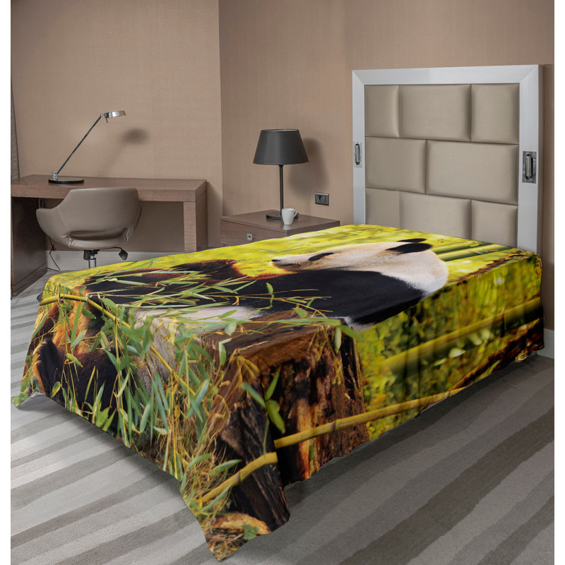 Drap plat Ambesonne, Simple