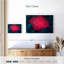Pink Coral Reef