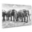 Elephants in Sri Lanka - Wrapped Canvas-56637229