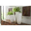 Lacuna Vase-66234314