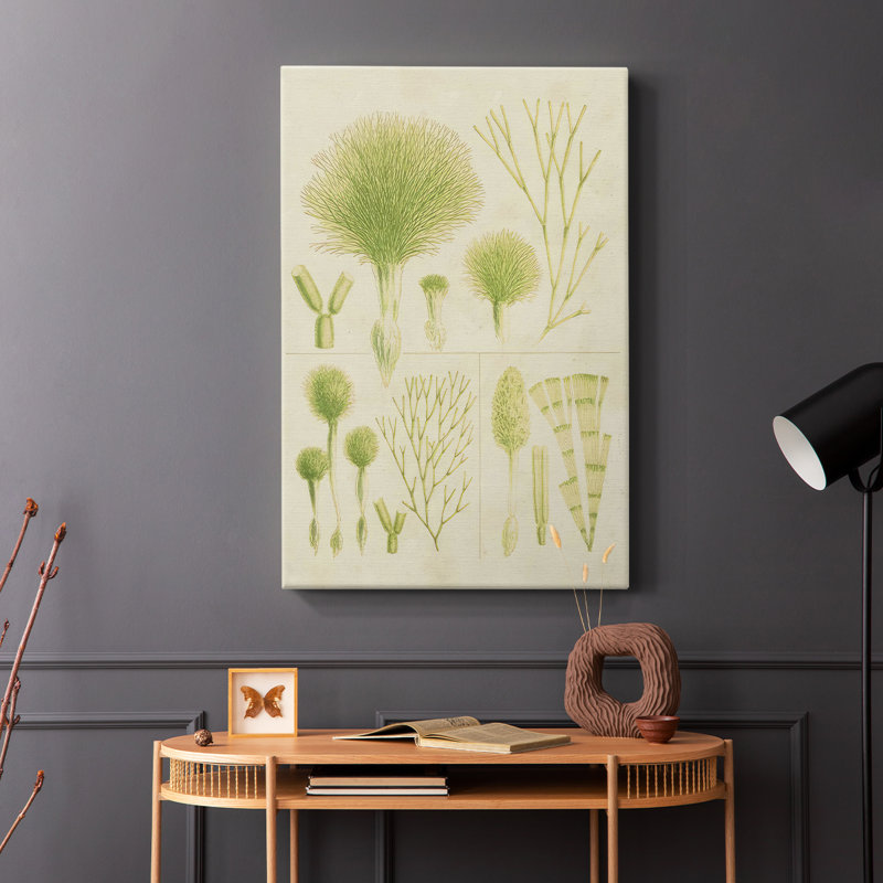 Herbe de mer rétro III - galerie Cavas