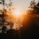 Maine Sunsets par Chelsea Kedron - reproduction