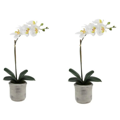 22 po orchidées phalaenopsis artificielles blanches