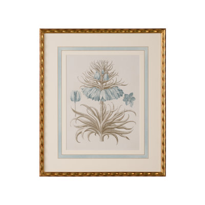 Besler Botanicals in Willow Blue II