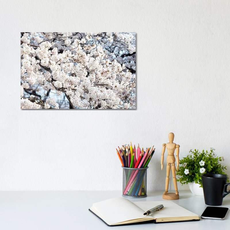 Sakura Cherry Blossoms II by Philippe Hugonnard - Wrapped Canvas Gallery-Wrapped Canvas Giclée, 20.32 cm H x 30.48 cm W