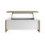 Baelie LIFT-TOP COFFEE TABLE N°12