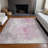 Machine Washable Indoor/Outdoor Xhevrie Pink Rug-1247553488