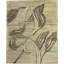 Vine One-of-a-Kind 7'10" X 9'3" Area Rug