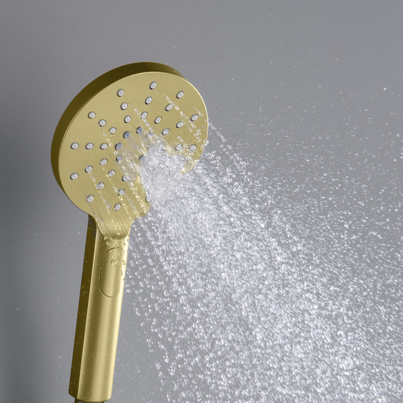 Full/Standard Handheld Shower Head 1.75 GPM GPM, Brushed Gold