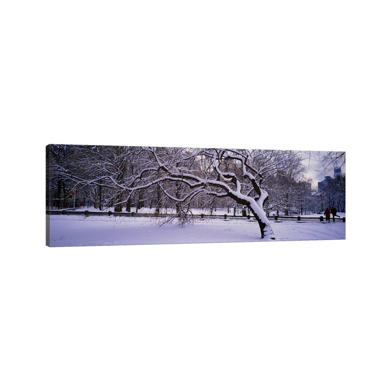 Trees Covered With Snow In A Park, Central Park, New York City, New York State, USA - Wrapped Canvas Panoramic Print
