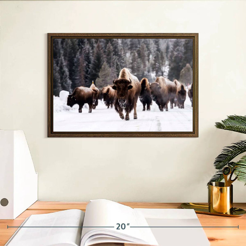 Winter Bisons, 13" X 9", Floating Frame Walnut