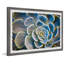 Budding Succulent - Single Picture Frame Painting-1207395697