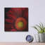 «Red Gerbera on Black 02» par Tom Quartermaine, art mural en métal-647115498