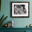 Snow Leopard Sanctuary - Photographie avec cadre photo-165722105-165722104