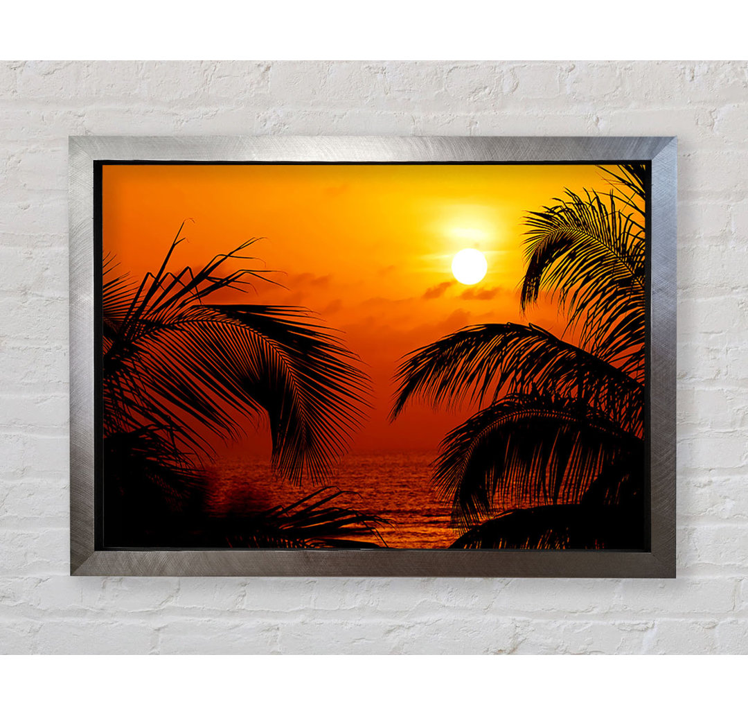 Orange Palmtree Sun - Druck