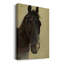 Vintage Animal Print LXIV -Gallery Wrapped Canvas-1838688920
