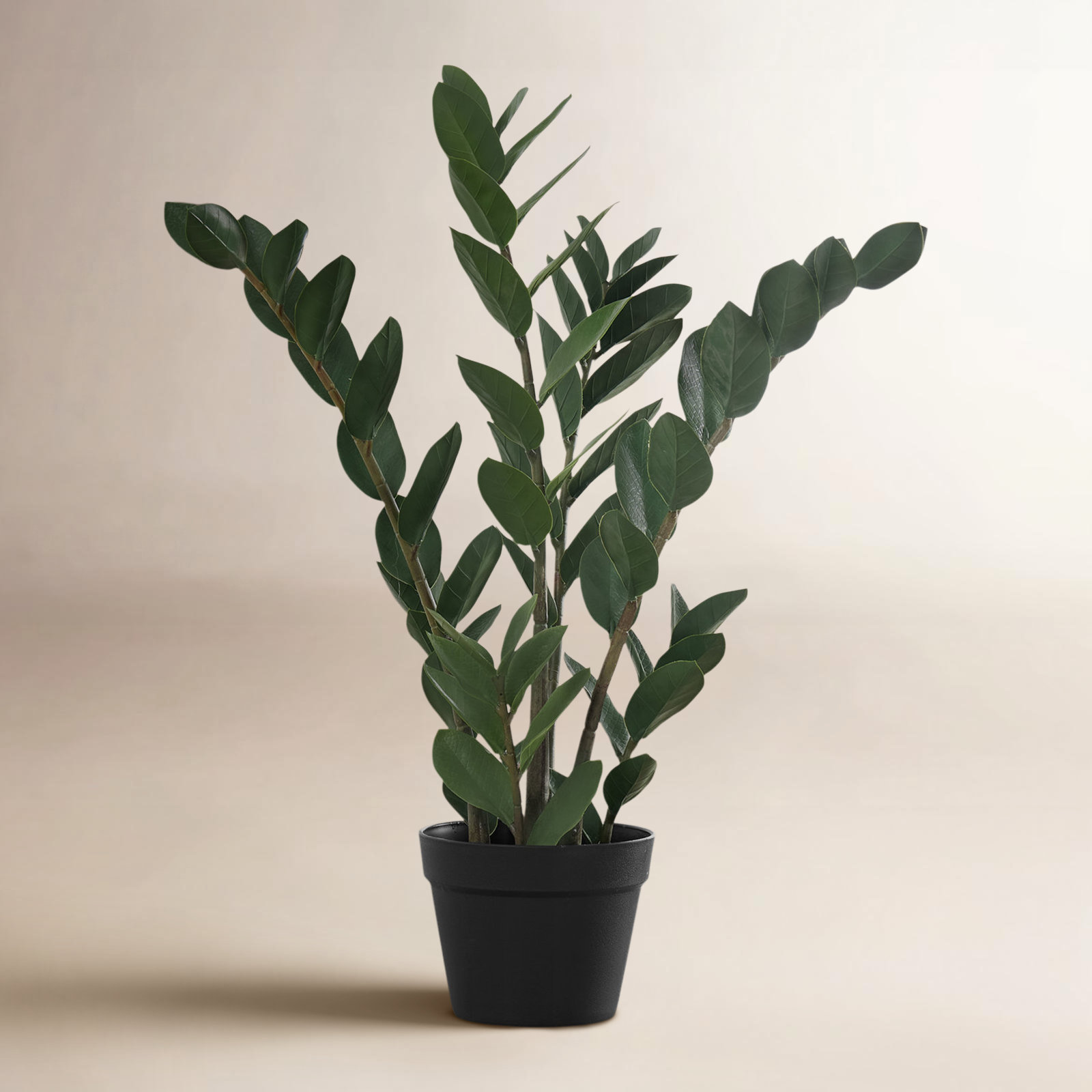 Kilbourne 29'' Faux ZZ Tree in Polyethylene (Pe) Pot