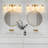 Conchita 4-Light Dimmable Frosted Glass Vanity Light-919318076