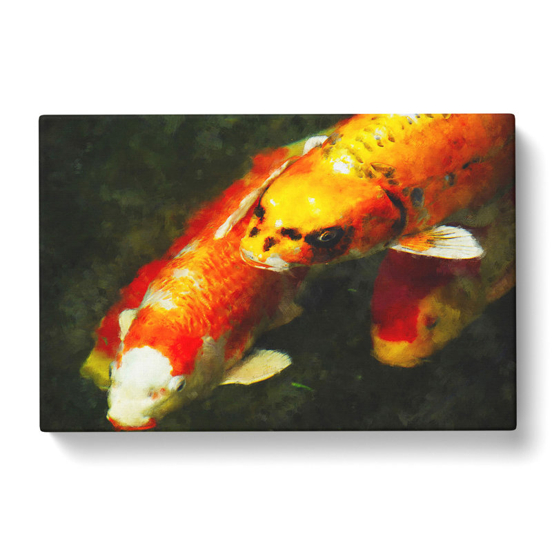 Koi Fish - Wrapped Canvas, 35cm H x 50cm W x 3cm D