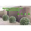 Faux Plant-2090936248-2090936255