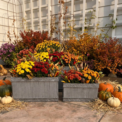3 Piece Merton Acanthus Rectangular Planters, 19.75"