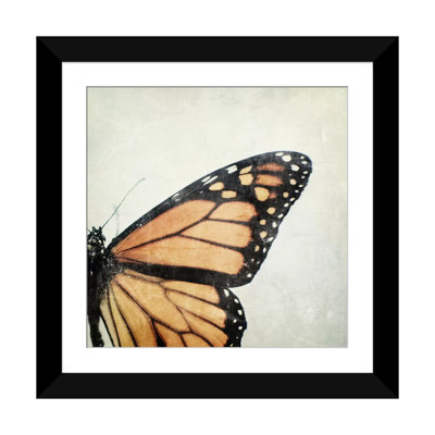 " The Monarch " by Chelsea Victoria