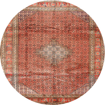 Oriental Indoor Rug