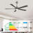 Leresa 60'' Ceiling Fan with LED Lights-458441611