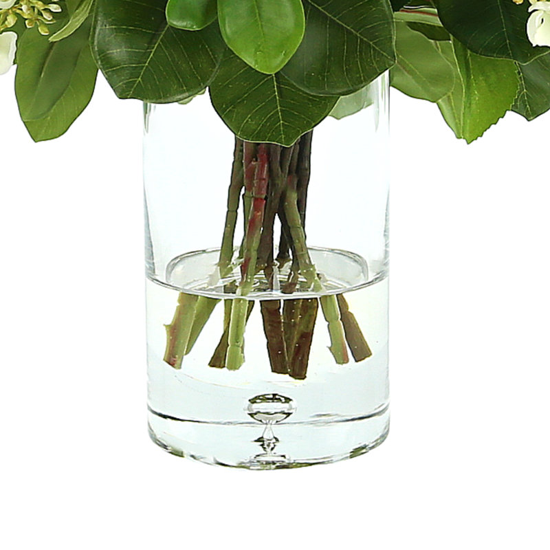 Ficus Arrangement in Vase