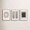 Berdie " Caos E Ordine 2 "