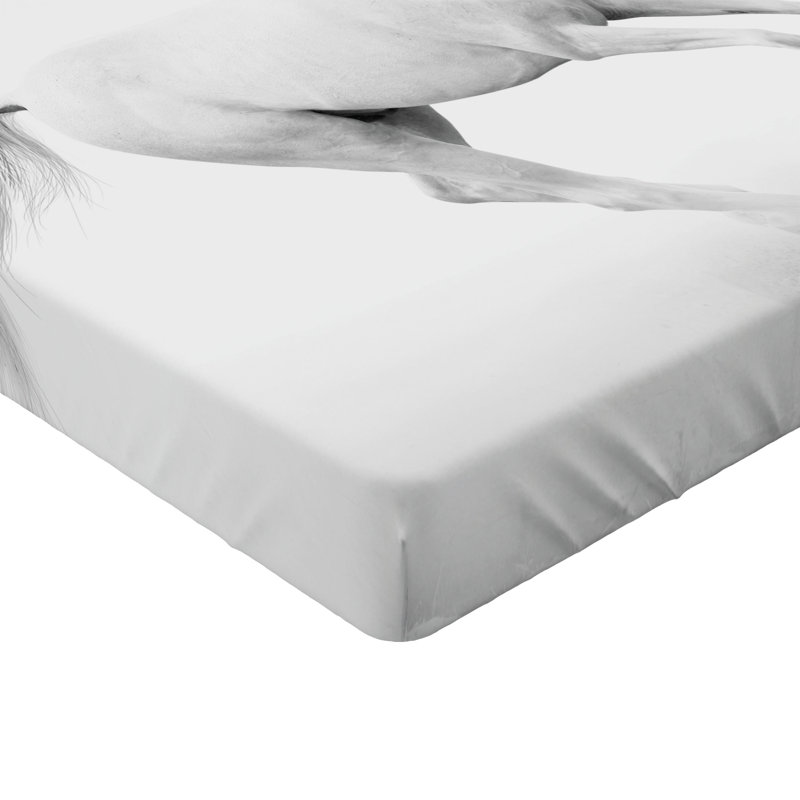 Drap-housse Ambesonne