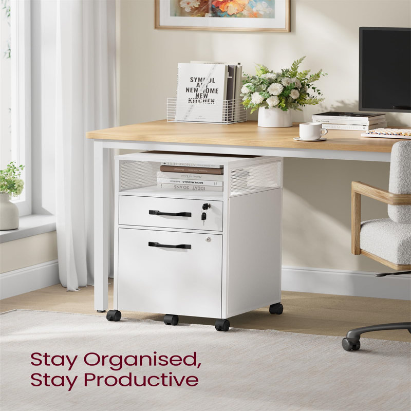 42cm Wide 2 -Drawer Mobile File Cabinet, White