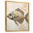 Gold Floater Framed