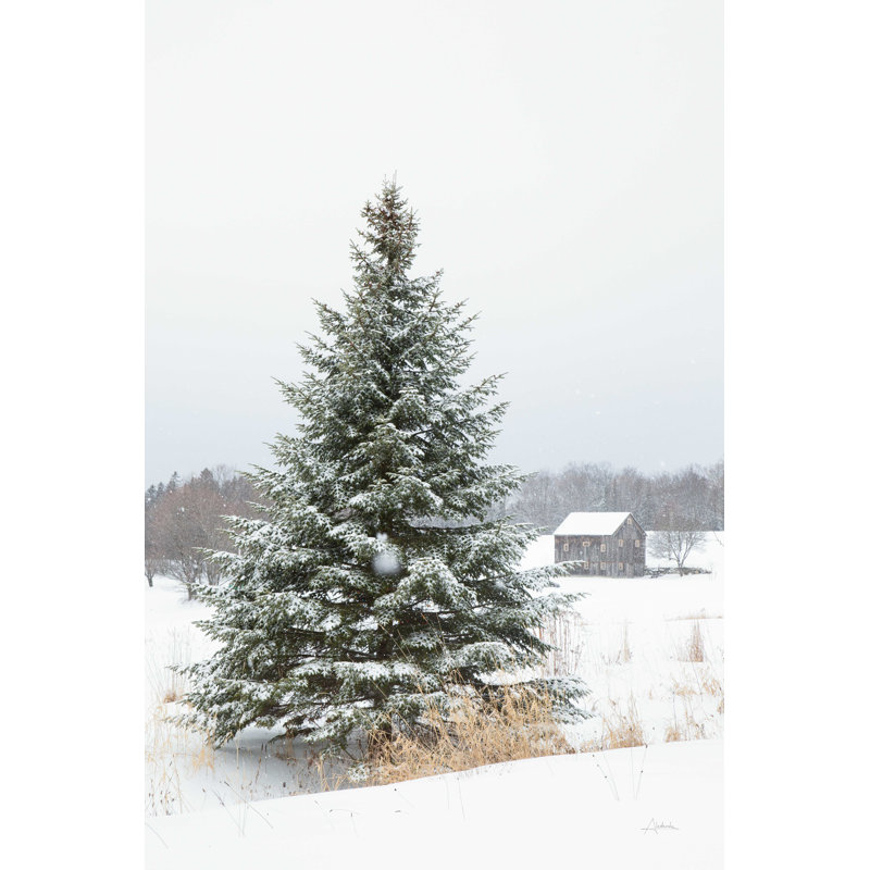 " Perfect Pine Tree " by Aledanda, 36" H x 24" W