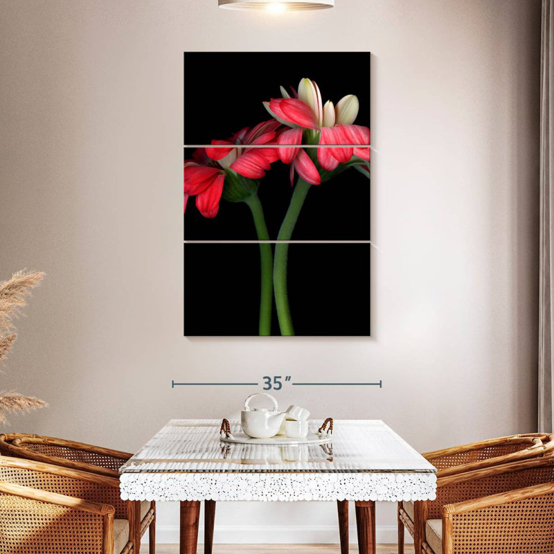 Harnek Gerbera II, H 50 po x l 32 po