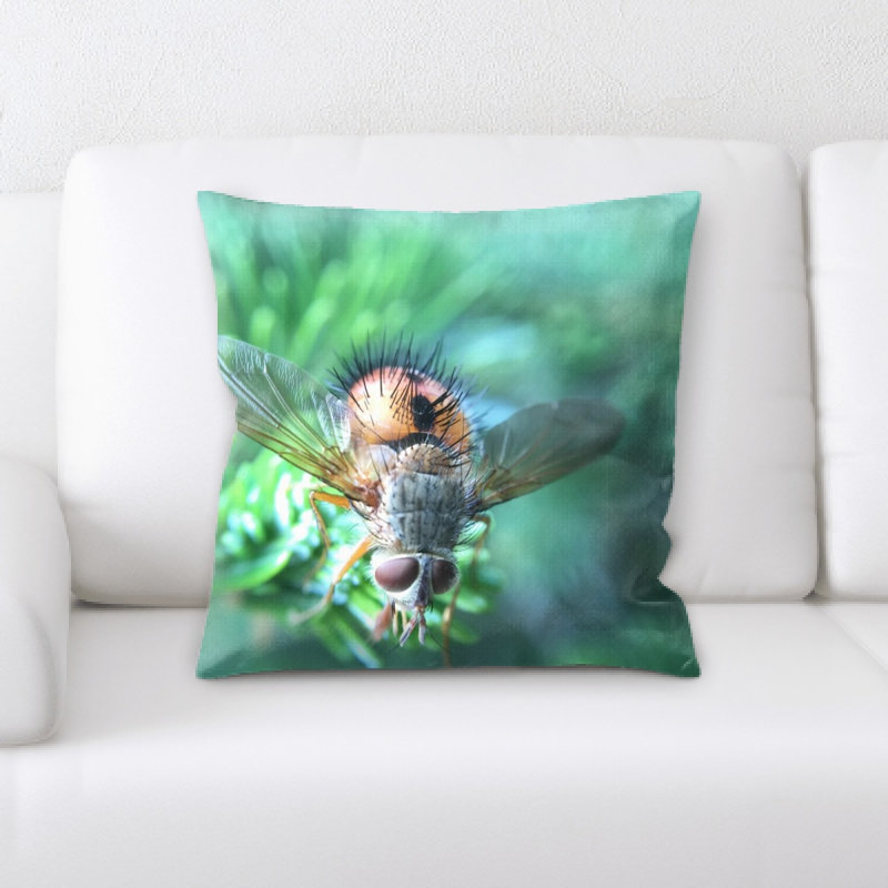Coussin d’insectes
