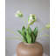 «Real Touch» perroquet blanc 27 po-287527651