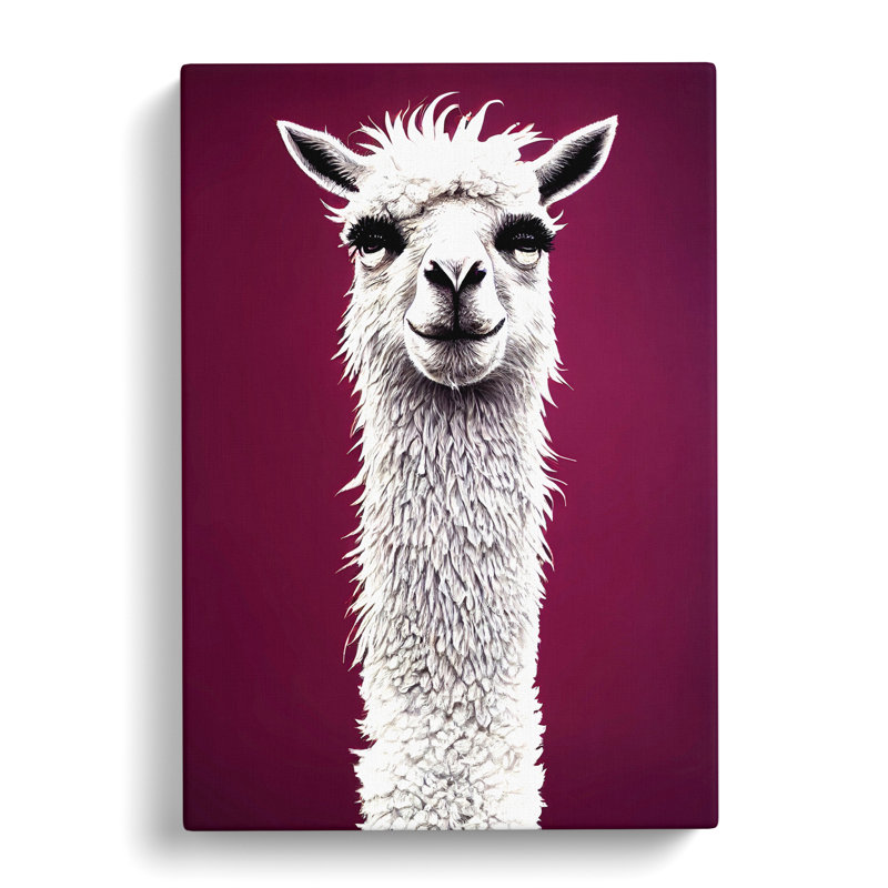 Ionie Face Of A Llama Vol.1 - Wrapped Canvas Print, 50cm H x 35cm W x 3cm D