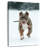 Brampt Pit Bull On Snow-106962300