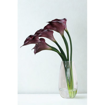 Violet Plum Calla Lily Arrangement