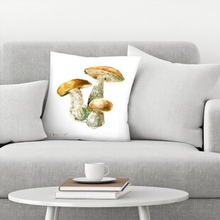 https://assets.wfcdn.com/im/76746222/resize-h310-w310%5Ecompr-r85/1141/114154045/throw-pillow.jpg