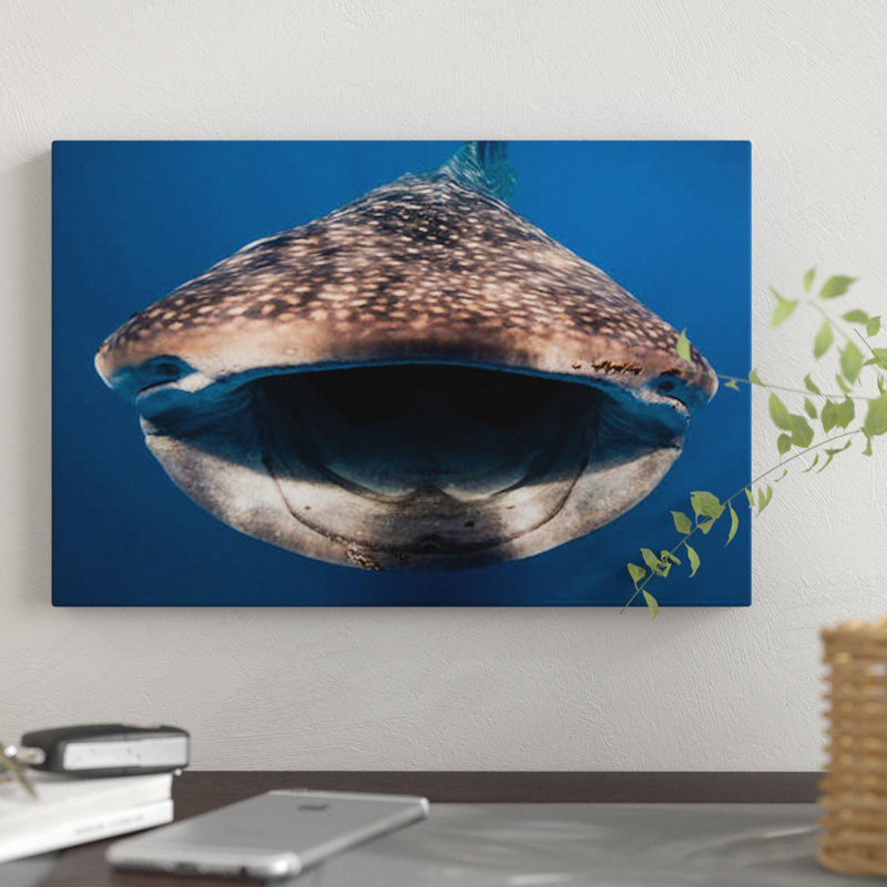 " Whale Shark In Isla Mujeres, Mexico I " by Jennifer Idol, 8" H x 12" W x 0.75" D, Wrapped Canvas, No Mat