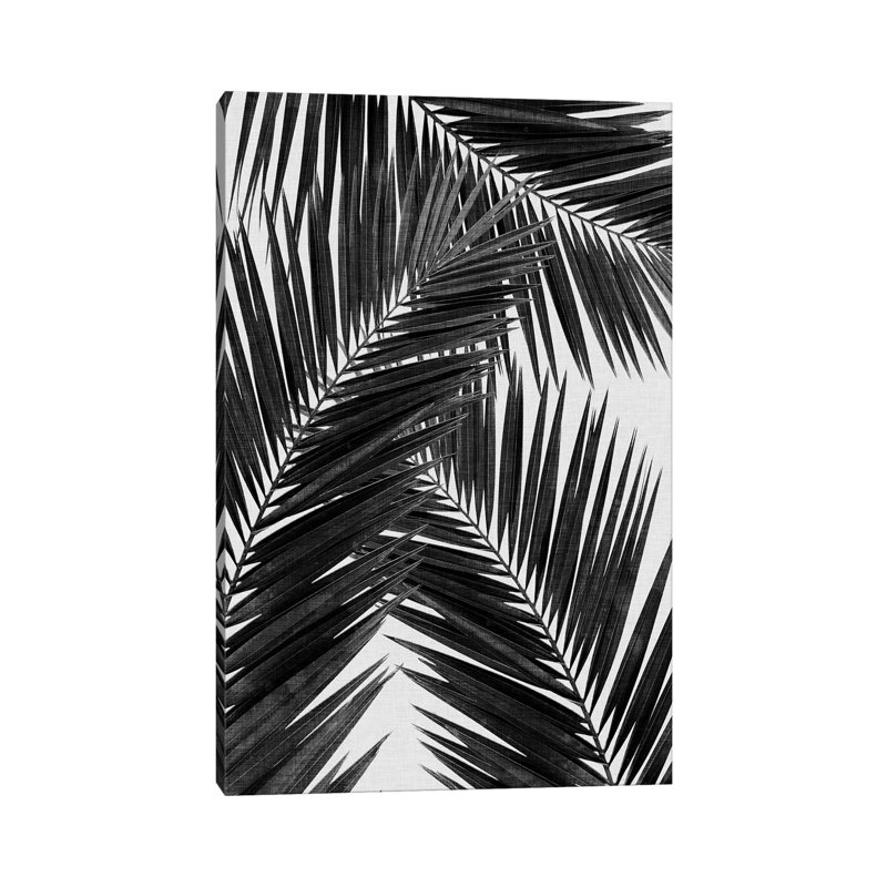 Palm Leaf III B&W by Orara Studio - Wrapped Canvas Print, 66.04 cm H x 45.72 cm W x 3.175 cm D
