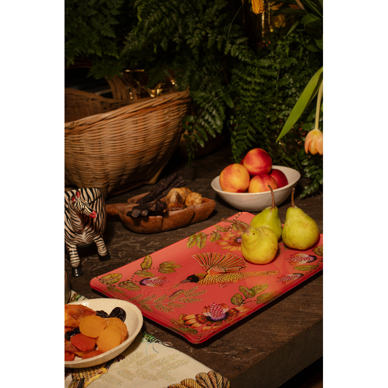 Weaver Garden Acrylic Tray, 18" W x 14" D x 1.5" H, Coral
