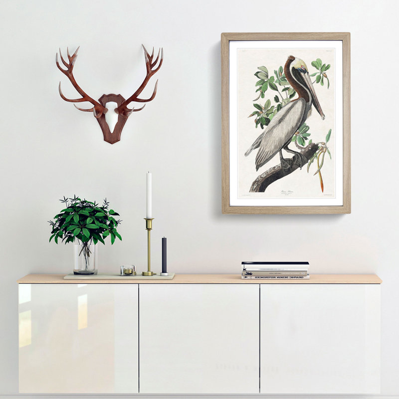 Brown Pelican by John Audubon - Picture Frame Graphic Art Print, Oak Framed, 48cm H x 36cm W x 2cm D